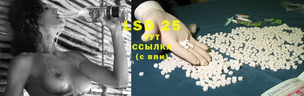 спиды Ессентукская