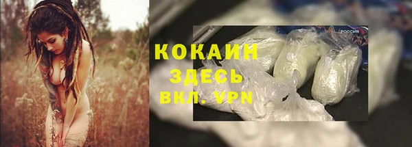 спиды Ессентукская