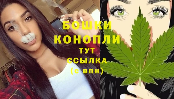 спиды Ессентукская