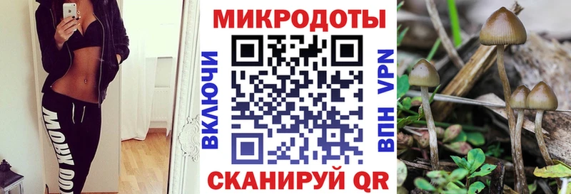где найти Волгоград Псилоцибиновые грибы GOLDEN TEACHER