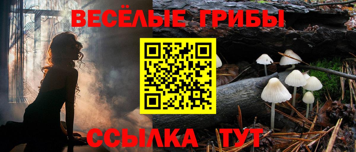 Псилоцибиновые грибы мухоморы  Псилоцибиновые грибы мицелий  где найти наркотики  Вход с VPN  Россия 
